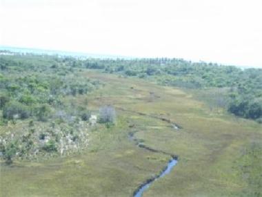 Land/Ruins for sale in Valenca (Bahia)