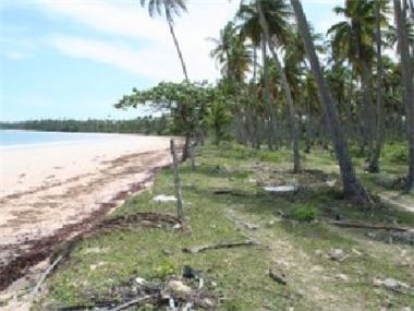 Land/Ruins for sale in Valenca (Bahia)