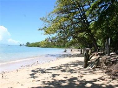 Land/Ruins for sale in Valenca (Bahia)