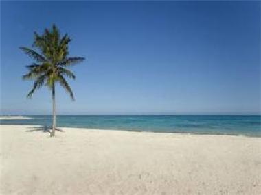Land/Ruins for sale in Playa del Carmen (Quintana Roo)
