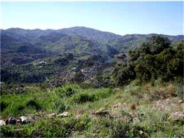 Land/Ruins for sale in Colmenar (Andalucia)