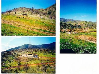 Land/Ruins for sale in Alora (Andalucia)