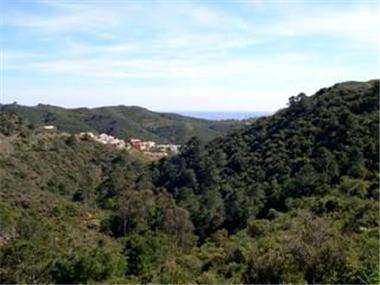 Land/Ruins for sale in Benahavis (Andalucia)
