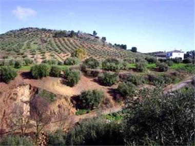 Townhouse for sale in Zamoranos (Andalucia)