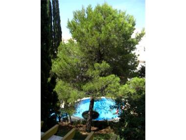 Apartment/Flat for sale in Mijas Costa (Andalucia)