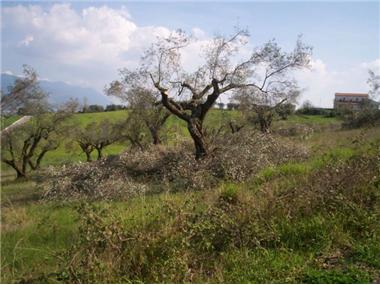 House/Villa for sale in Benevento (Campania)