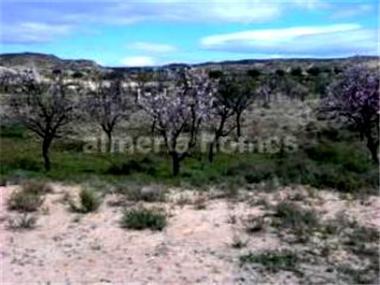Land/Ruins for sale in Partaloa (Andalucia)