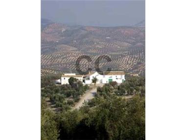 House/Villa for sale in Priego de Cordoba (Andalucia)
