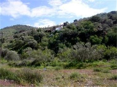 Finca for sale in Alora (Andalucia)