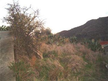 Land for sale in Melini (Larnaca)