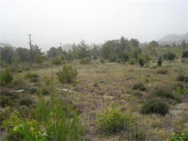 Land for sale in Perapedhi (Limassol)