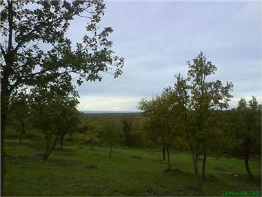 Building Plot for sale in Baderna (Istarska Zupanija)