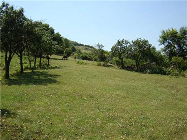 Land for sale in Kameno (Burgas)