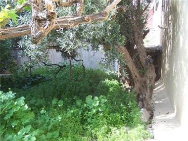 House for sale in Kritsa (Crete)