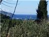 Land/Ruins for sale in Dol (Splitsko-Dalmatinska Zupanija)