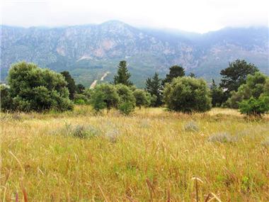 Land for sale in Kyrenia (Kyrenia)