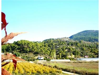 Apartment for sale in Dalaman (Mugla)