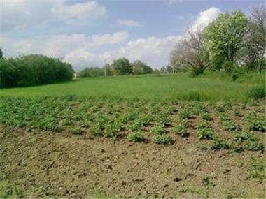 Land for sale in Yambol (Yambol)