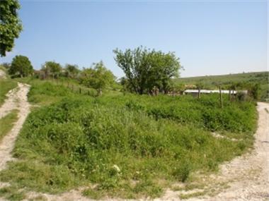 Land for sale in Albena (Dobrich)
