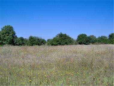 Land for sale in Dobrich (Dobrich)