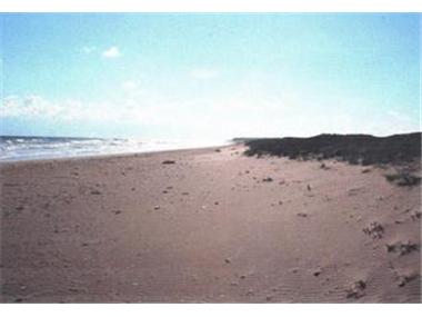 Land for sale in Shabla (Dobrich)
