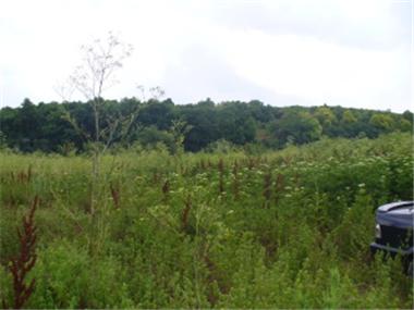 Land for sale in Shabla (Dobrich)