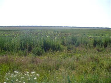 Land for sale in Dobrich (Dobrich)