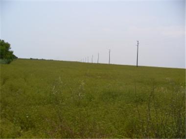 Land for sale in Shabla (Dobrich)