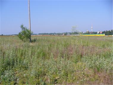 Land for sale in Dobrich (Dobrich)