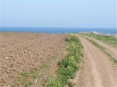 Land for sale in Kavarna (Dobrich)