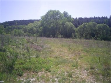 Land for sale in Veliko Turnovo (Veliko Turnovo)