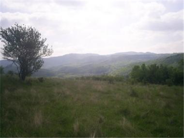 Land for sale in Veliko Turnovo (Veliko Turnovo)