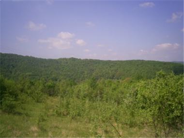 Land for sale in Veliko Turnovo (Veliko Turnovo)