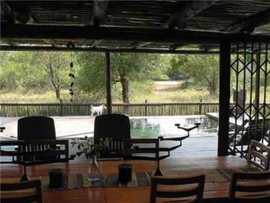 House for sale in Hoedspruit (Limpopo Province)