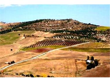 Finca for sale in Antequera (Andalucia)
