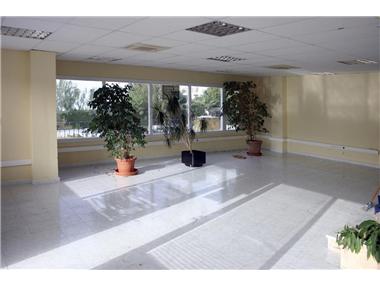 Business for sale in Estepona (Andalucia)