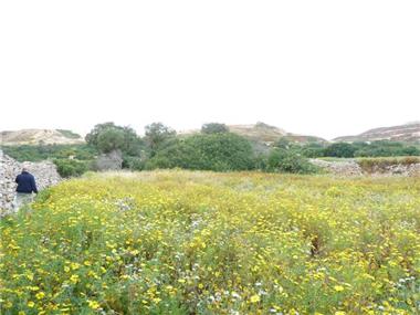 House for sale in Bahar ic-Caghaq (Malta)