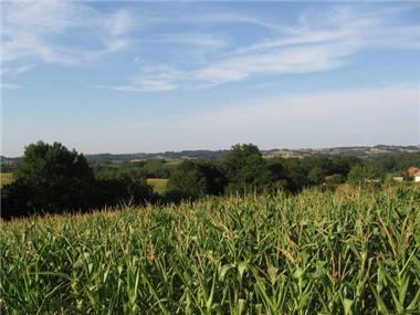 Land for sale in Garos (Aquitaine)