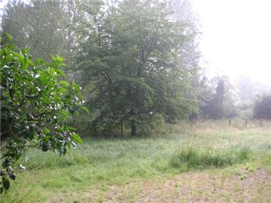 Villa for sale in Montpon-Menesterol (Aquitaine)