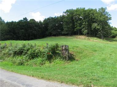 Land for sale in Bergouey-Viellenave (Aquitaine)