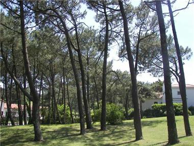 Land for sale in Anglet (Aquitaine)