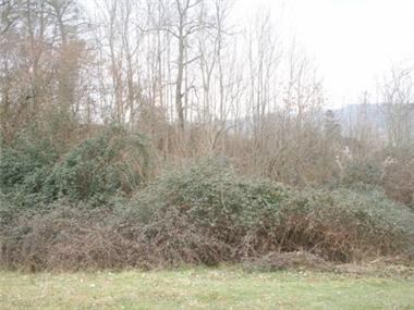 Land for sale in Montastruc (Midi-Pyrenees)