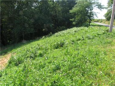 Land for sale in Tilhouse (Midi-Pyrenees)