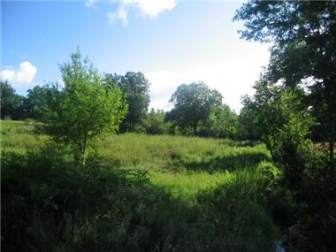 Land for sale in Monguilhem (Midi-Pyrenees)
