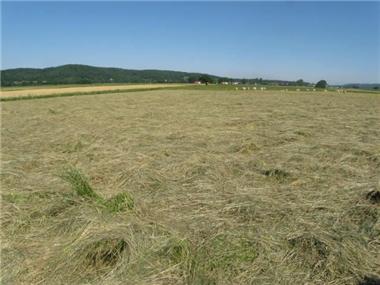 Land for sale in Lameac (Midi-Pyrenees)