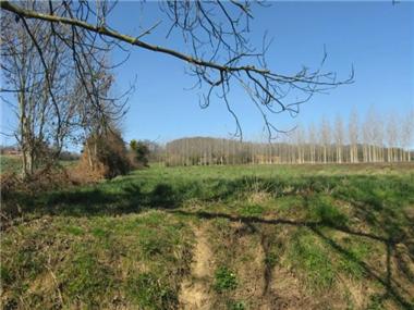 Land for sale in Caubous (Midi-Pyrenees)