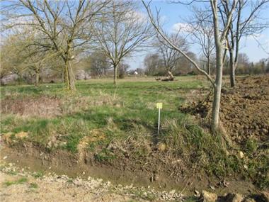 Land for sale in Momeres (Midi-Pyrenees)