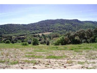 Land for sale in Plan-de-la-Tour (Provence-Alpes-Cote d'Azur)