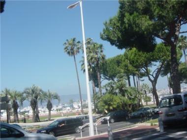 Apartment       for sale in Cannes (Provence-Alpes-Cote d'Azur)