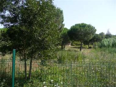 Land for sale in Saint-Tropez (Provence-Alpes-Cote d'Azur)